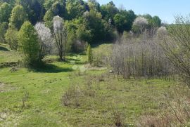 Zemljište sa ruševnom kućom, Plaški, Tierra