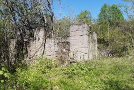 Zemljište sa ruševnom kućom, Plaški, Tierra