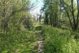 Zemljište sa ruševnom kućom, Plaški, Tierra