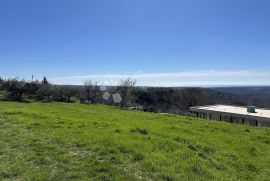 ZEMLJIŠTE SA PANORAMSKIM POGLEDOM I PROJEKTOM, Buje, Arazi