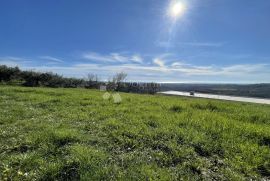 ZEMLJIŠTE SA PANORAMSKIM POGLEDOM I PROJEKTOM, Buje, Γη