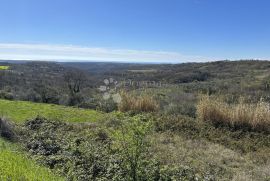 ZEMLJIŠTE SA TOP POGLEDOM I GRAĐEVINSKOM DOZVOLOM, Buje, Zemljište