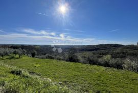 ZEMLJIŠTE SA TOP POGLEDOM I GRAĐEVINSKOM DOZVOLOM, Buje, Tierra