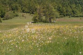 Zemljište u građevinskoj zoni, Mrkopalj, Terra