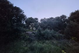 IZVRSNA PRILIKA ZA LJUBITELJE OTOKA, Zadar - Okolica, Terrain