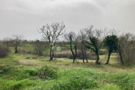 SAMO U DOGMI! GRAĐEVINSKO ZEMLJIŠTE ZA VAŠ BIJEG  U PRIRODU, Barban, Land