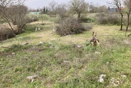 SAMO U DOGMI! GRAĐEVINSKO ZEMLJIŠTE ZA VAŠ BIJEG  U PRIRODU, Barban, Land