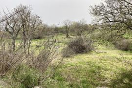 SAMO U DOGMI! GRAĐEVINSKO ZEMLJIŠTE ZA VAŠ BIJEG  U PRIRODU, Barban, Land