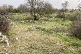 SAMO U DOGMI! GRAĐEVINSKO ZEMLJIŠTE ZA VAŠ BIJEG  U PRIRODU, Barban, Land