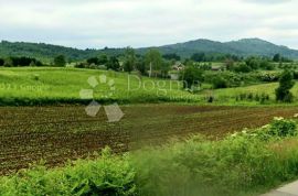 Veliko zemljište pogodno za kamp ili etno selo, Plaški, Tierra