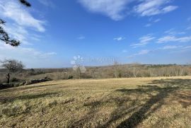 ZEMLJIŠTE SA PREDIVNIM POGLEDOM U MIRU I TIŠINI, BUJE OKOLICA, Buje, Land