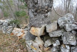 Mandriol-zemljište na predivnoj lokaciji, Vodnjan, Tierra