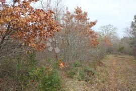 Mandriol - poljoprivredna parcela, Vodnjan, Land