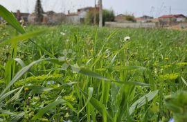 Građevinsko zemljište na odličnoj lokaciji, Vodnjan, Terreno