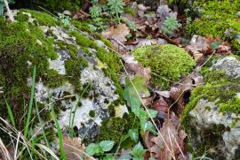 Drenova - odličan teren za obiteljsku višestambenu zgradu !, Rijeka, Tierra