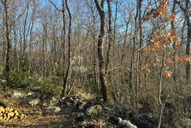 GRAĐEVINSKO ZEMLJIŠTE S POGLEDOM NA MORE, Matulji, Terrain