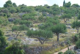 ZEMLJIŠTE MIRCA - OTOK  BRAČ, Supetar, Terreno