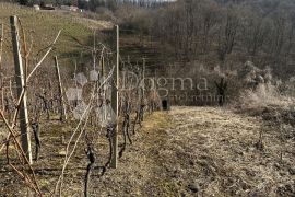 Vikend kuća s vinogradom i šumom, Cestica, Σπίτι