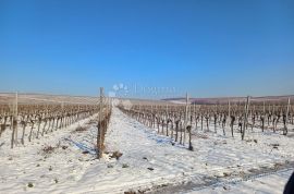 Kuća za odmor - obnovljivi izvori energije, Kneževi Vinogradi, Σπίτι