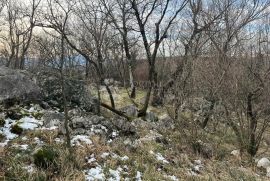 STARINA NA 4525m2 GRAĐEVINSKOG ZEMLJIŠTA!!!, Čavle, Kuća