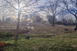 STARINA NA 4525m2 GRAĐEVINSKOG ZEMLJIŠTA!!!, Čavle, Kuća