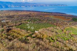 Otok Krk prekrasno imanje  maslinik sa kućom, Krk, Terreno