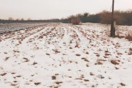 Atraktivno građevinsko zemljište u Velikoj Mlaki 3000m2, Velika Gorica - Okolica, Land