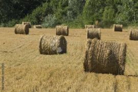 Veliko poljoprivredno zemljište u blizini sela Juršići, Svetvinčenat, Terra