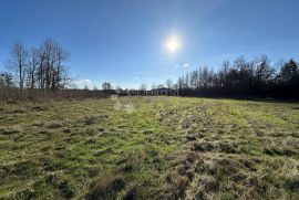 GRAĐRVINSKO ZEMLJIŠTE GOSPIĆ 7299 M2, Gospić, Land