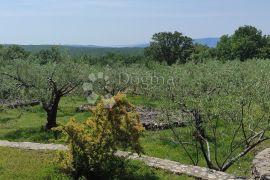 Samo u Dogmi -Kuća u unutrašnjosti Krka s imanjem, Krk, Casa