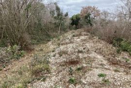 PEROJ, ZEMLJIŠTE 368 M2 SKRIVENO OD POGLEDA, Vodnjan, Zemljište