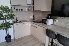 Brajda najam studio apartmana, Rijeka, Kвартира