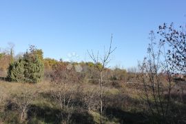 Građevinsko zemljište na mirnoj lokaciji, Marčana, Terrain