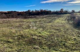 ODABERITE POVRŠINU I POZICIJU ZEMLJIŠTA PO VAŠOJ MJERI!, Kanfanar, Land