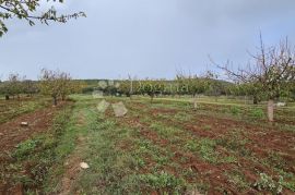 DEBELJAK KOD SUKOŠANA - GRAĐEVINSKO ZEMLJIŠTE 870m2, Sukošan, Land