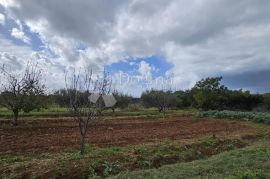 DEBELJAK KOD SUKOŠANA - GRAĐEVINSKO ZEMLJIŠTE 870m2, Sukošan, Land