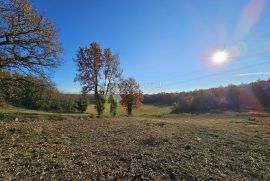 Prostrana parcela juzne orjentacije na traženoj lokaciji, Brtonigla, Land