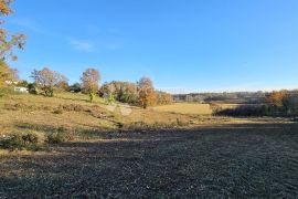 Prostrana parcela juzne orjentacije na traženoj lokaciji, Brtonigla, Land