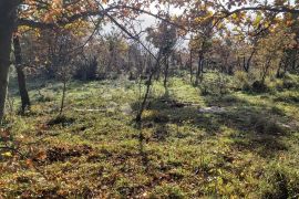 KOMBINIRANO ZEMLJIŠTE SA OTVORENIM POGLEDOM, Marčana, Terrain