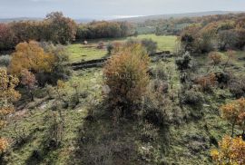 KOMBINIRANO ZEMLJIŠTE SA OTVORENIM POGLEDOM, Marčana, Terrain