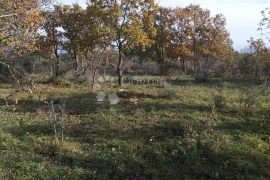 KOMBINIRANO ZEMLJIŠTE SA OTVORENIM POGLEDOM, Marčana, Terrain