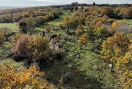 KOMBINIRANO ZEMLJIŠTE SA OTVORENIM POGLEDOM, Marčana, Terrain