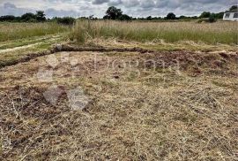 Poljoprivredno zemljište sa pristupnim putem, Ližnjan, Land