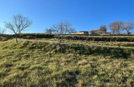 Zamask - imanje od 2553 m2, Pazin - Okolica, Tierra