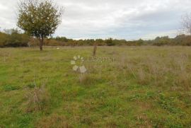 Veliko građevinsko zemljište s prekrasnim pogledom, Žminj, Terrain