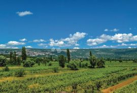 PREKRASNA VILA S BAZENOM, Zmijavci, Famiglia