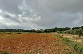 PROSTRANO POLJOPRIVREDNO ZEMLJIŠTE - PRVI RED DO MORA, Ližnjan, Land