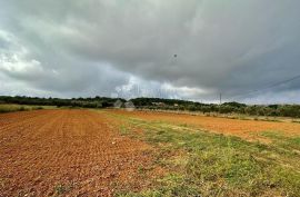 PROSTRANO POLJOPRIVREDNO ZEMLJIŠTE - PRVI RED DO MORA, Ližnjan, Land