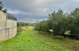 Građevinsko-poljoprivredno zemljište na posebnoj lokaciji, Ližnjan, Terra