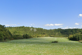 PRILIKA, POLJOPRIVREDNO ZEMLJIŠTE U PAZINU, Pazin - Okolica, Terra